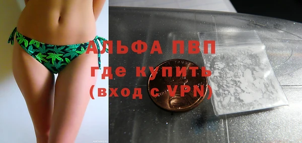 винт Каменка