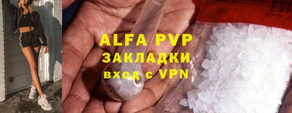 стафф Каменногорск