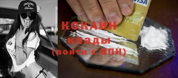 стафф Каменногорск