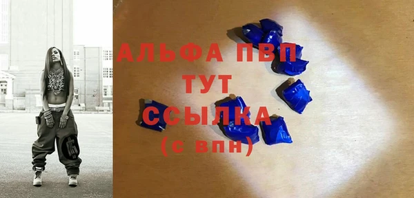 стафф Каменногорск