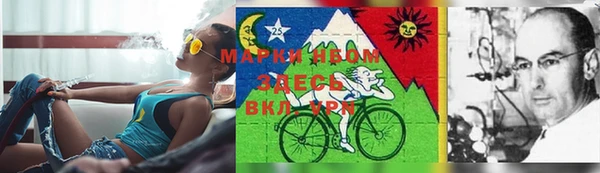 винт Каменка