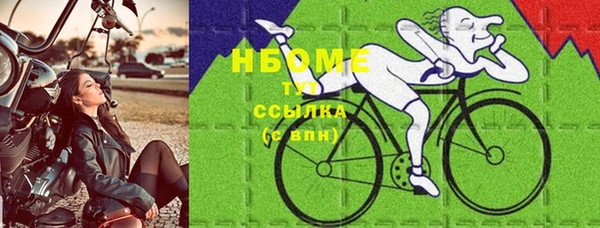 стафф Каменногорск