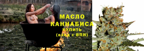 винт Каменка