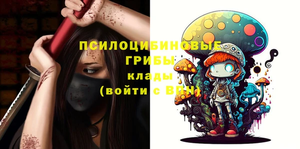 винт Каменка